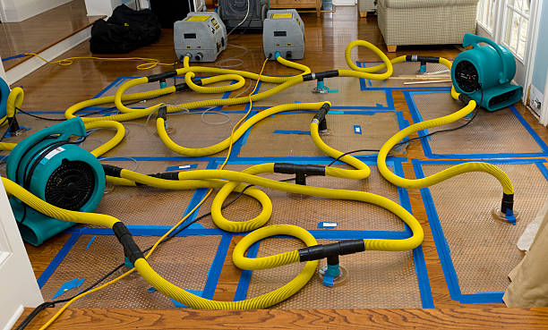 Professional Crawl Space Water Removal technician working in Verona, VA
